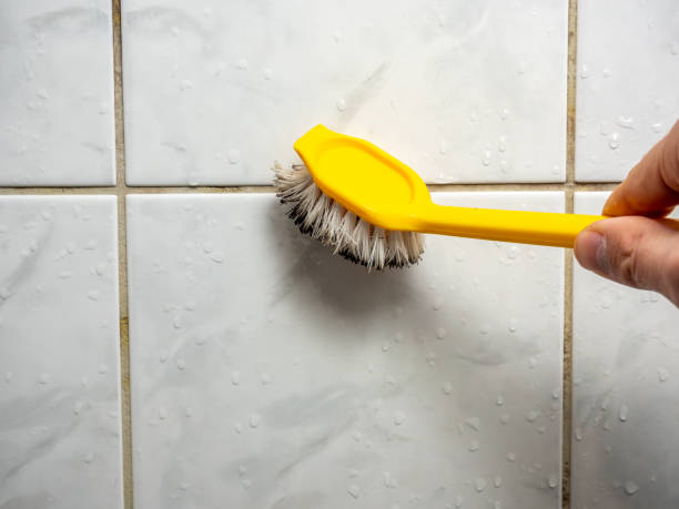 Best Mold Removal Near Me  in Woodlynne, NJ