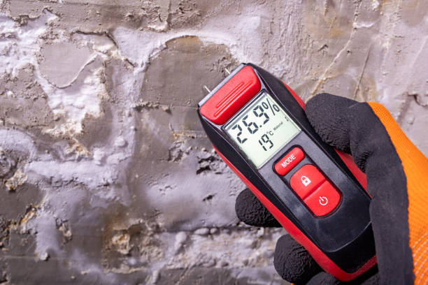 Best Emergency Mold Removal  in Woodlynne, NJ