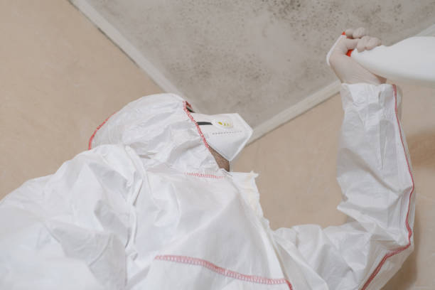 Best Toxic Mold Removal  in Woodlynne, NJ